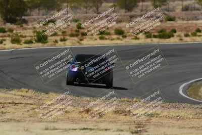 media/Apr-06-2025-Extreme Speed (Sun) [[ad1499d5ff]]/Green group/Turn 1/